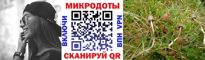 как найти закладки  это какой сайт  Галлюциногенные грибы мухоморы  Сорск  МЕГА  